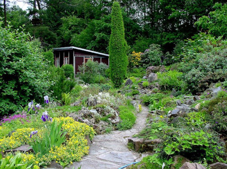 Arktisch-Alpiner Pflanzengarten und Alpine Staudengärtnerei, Leisnig, Germany, Germany